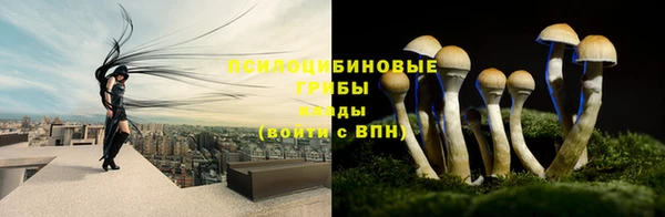 бошки Абаза