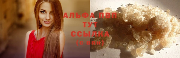 бошки Абаза