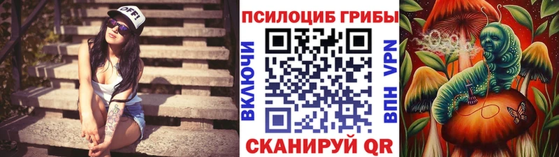 Псилоцибиновые грибы мицелий  как найти закладки  Темрюк 